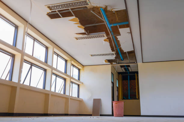 Best Basement water damage restoration  in Cherryville, NC