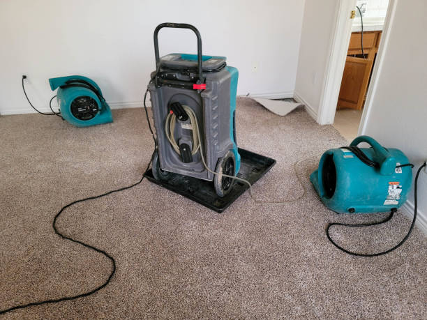 Best Flood damage cleanup  in Cherryville, NC