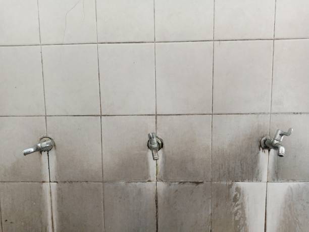 Best Water damage restoration near me  in Cherryville, NC