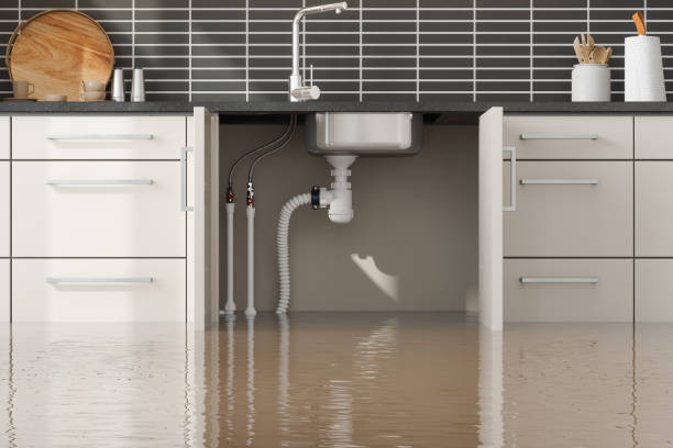 Best Professional water damage repair  in Cherryville, NC