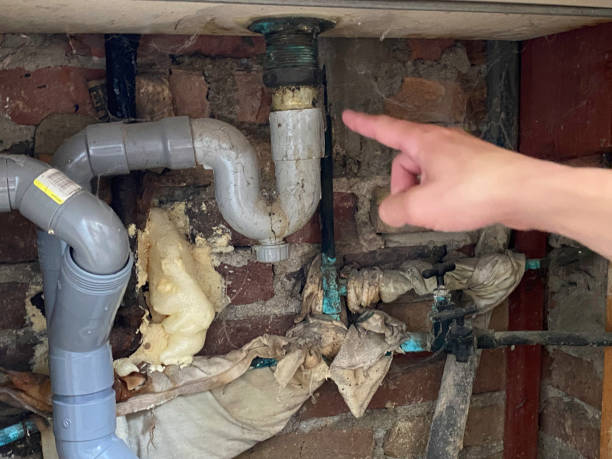 Best Water damage contractors near me  in Cherryville, NC