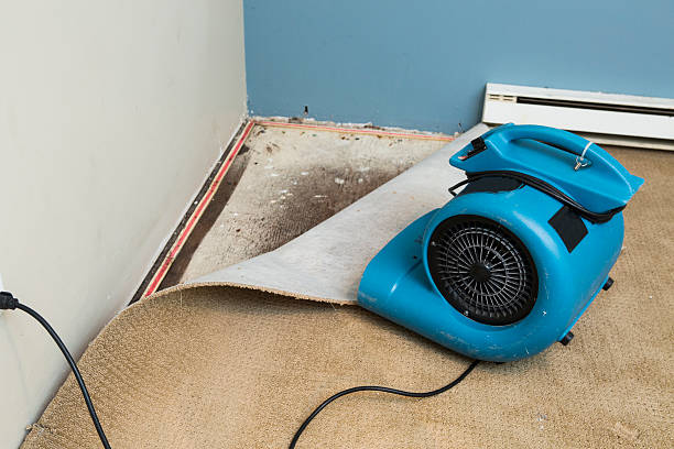 Best 24/7 water damage repair  in Cherryville, NC